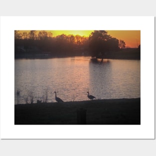 Geese at Sunset Posters and Art